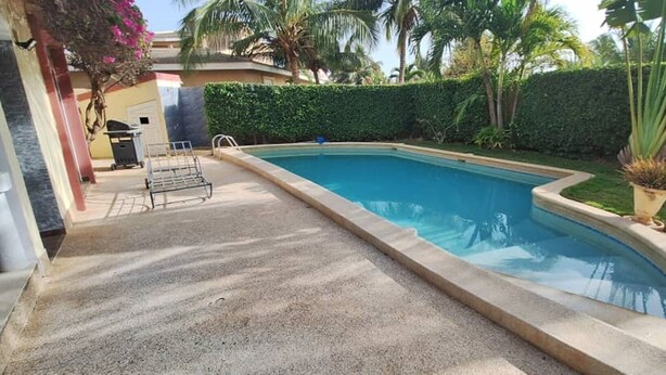 Une piscine dotée d’une plage en béton, entourée d’une haie bien entretenue et de palmiers.