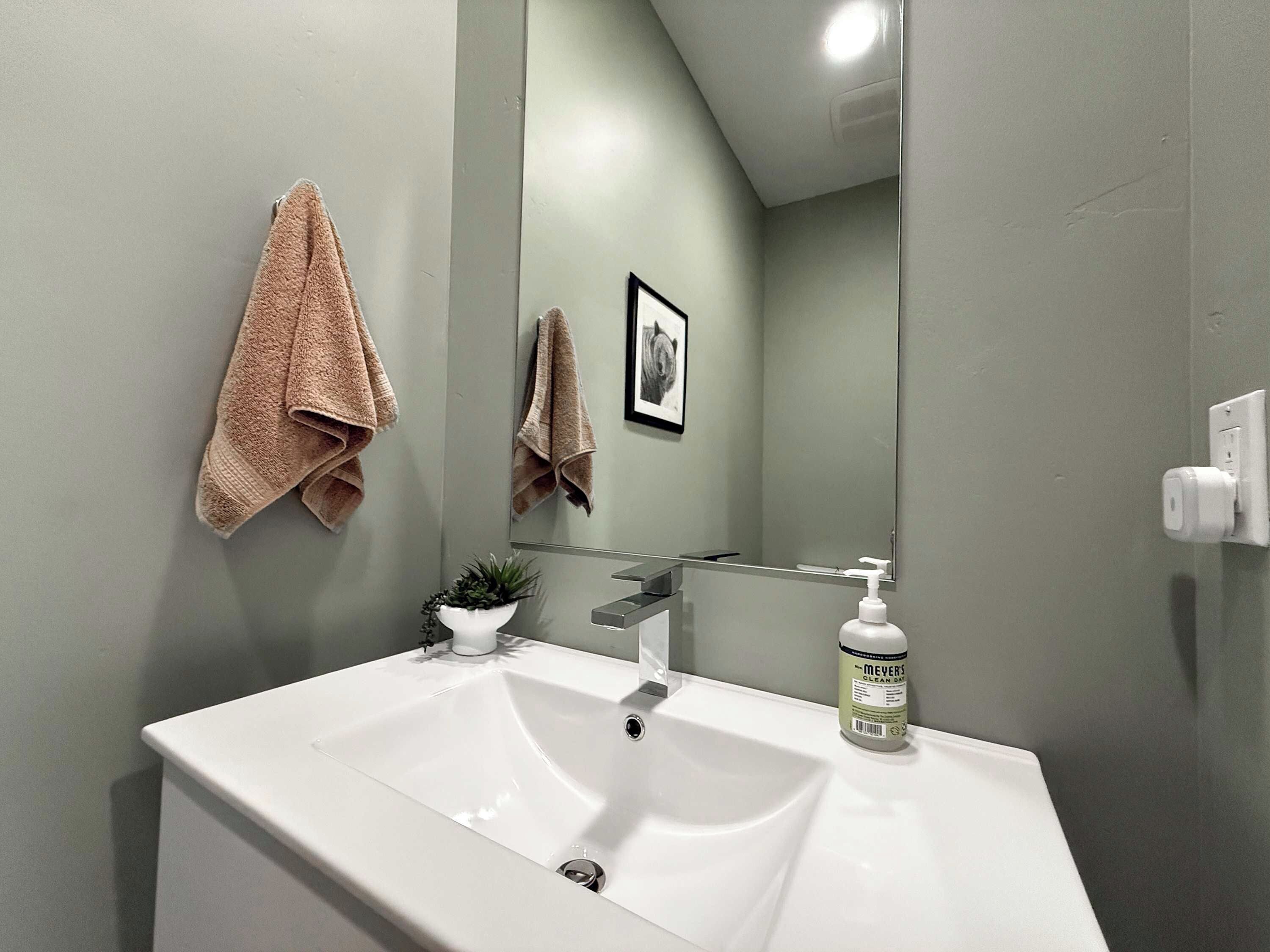 A bathroom with a white sink, a mirror, a towel rack, a small potted plant, and a bottle of hand soap.