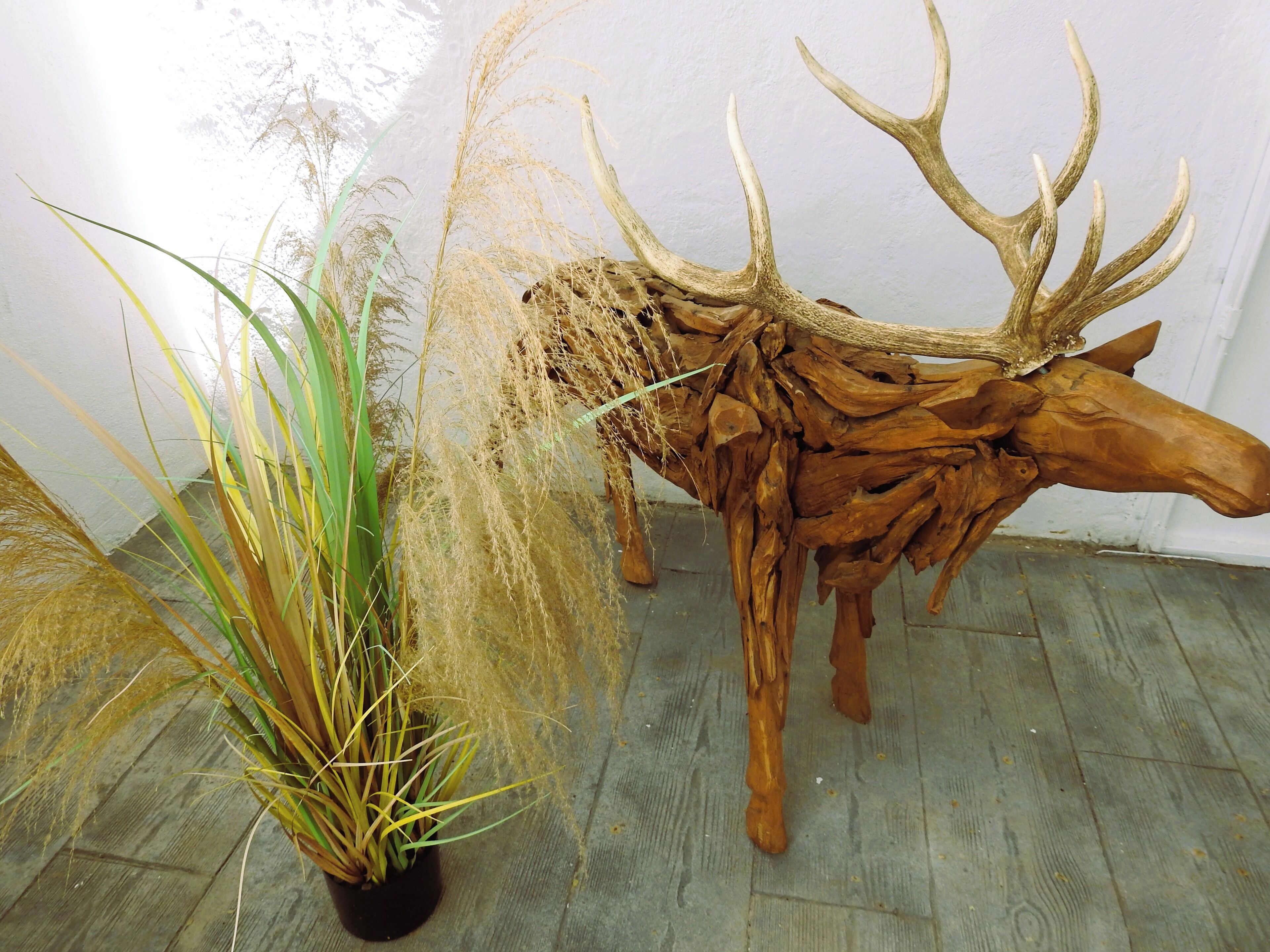 Una escultura de cabeza de venado de madera con astas, una planta en maceta con hierbas altas, y una pared lisa.
