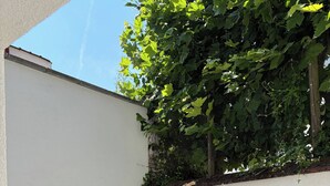 Um pátio com mesa e cadeiras, uma parede branca e uma árvore de folhas verdes.