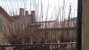 A balcony with a white table and metal chairs, overlooking a courtyard with bare trees and a parked car.