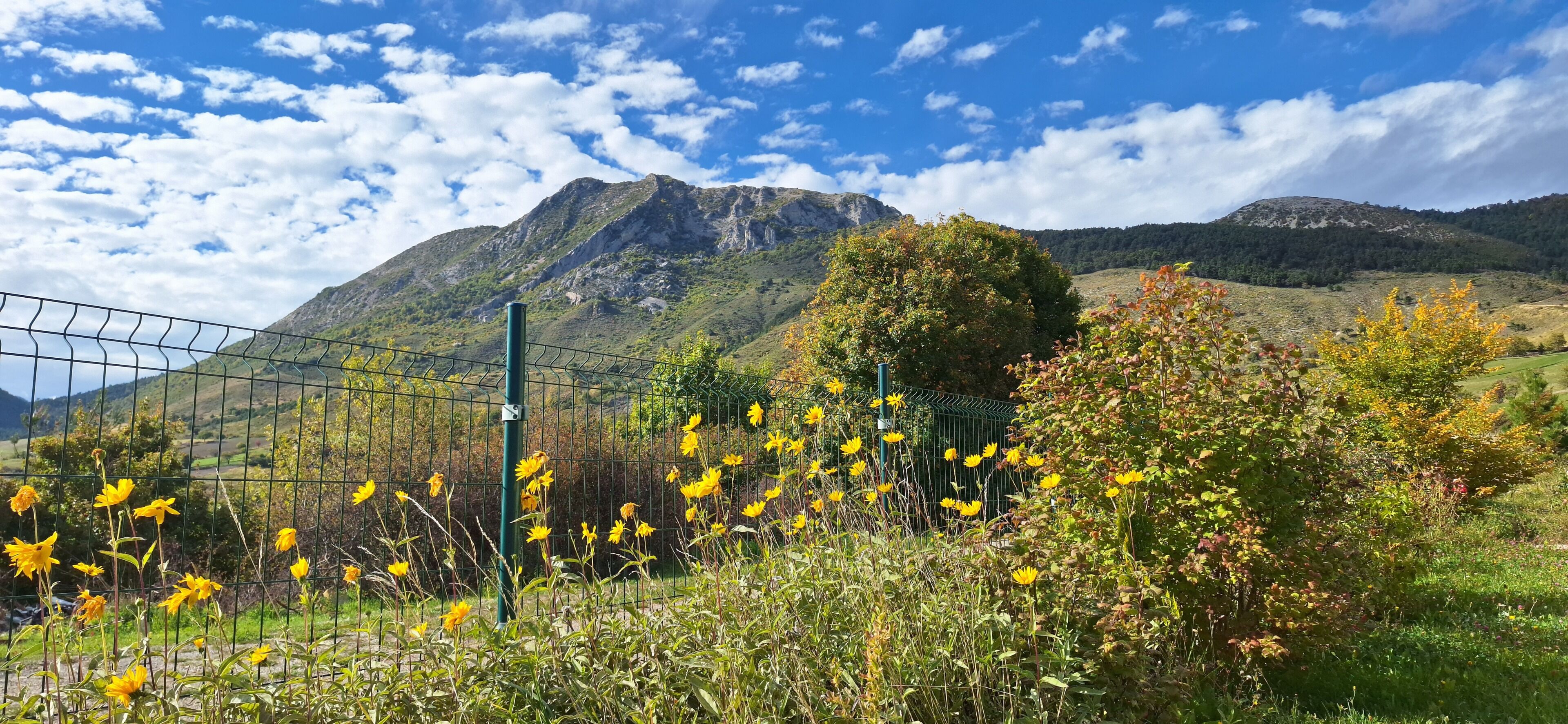 A mountainous landscape with a fence and wildflowers.