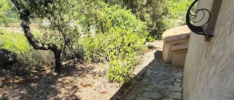 A stone pathway leading to a building with a metal railing.
