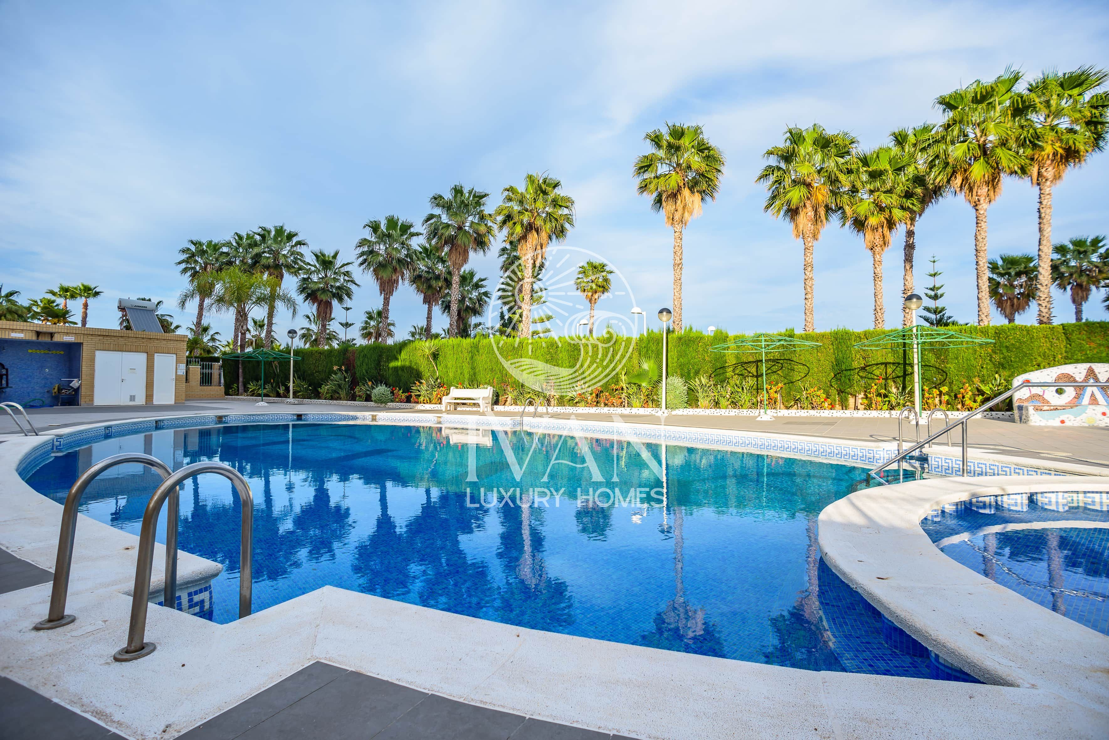 Una piscina con superficie d'acqua cristallina, circondata da palme e un arbusto ben curato.