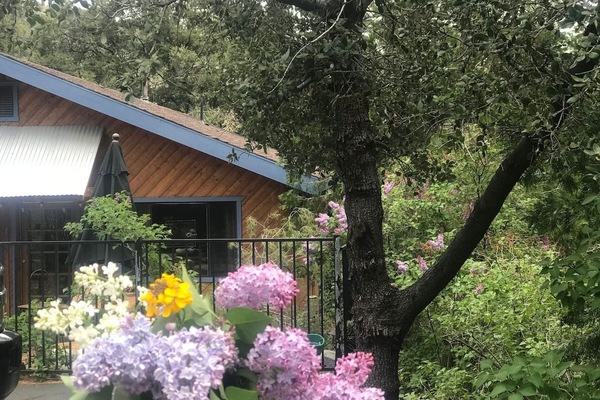 Spring has sprung in Wrightwood. Come enjoy our beautiful and fragrant lilacs that surround Wrightwood at this time!
