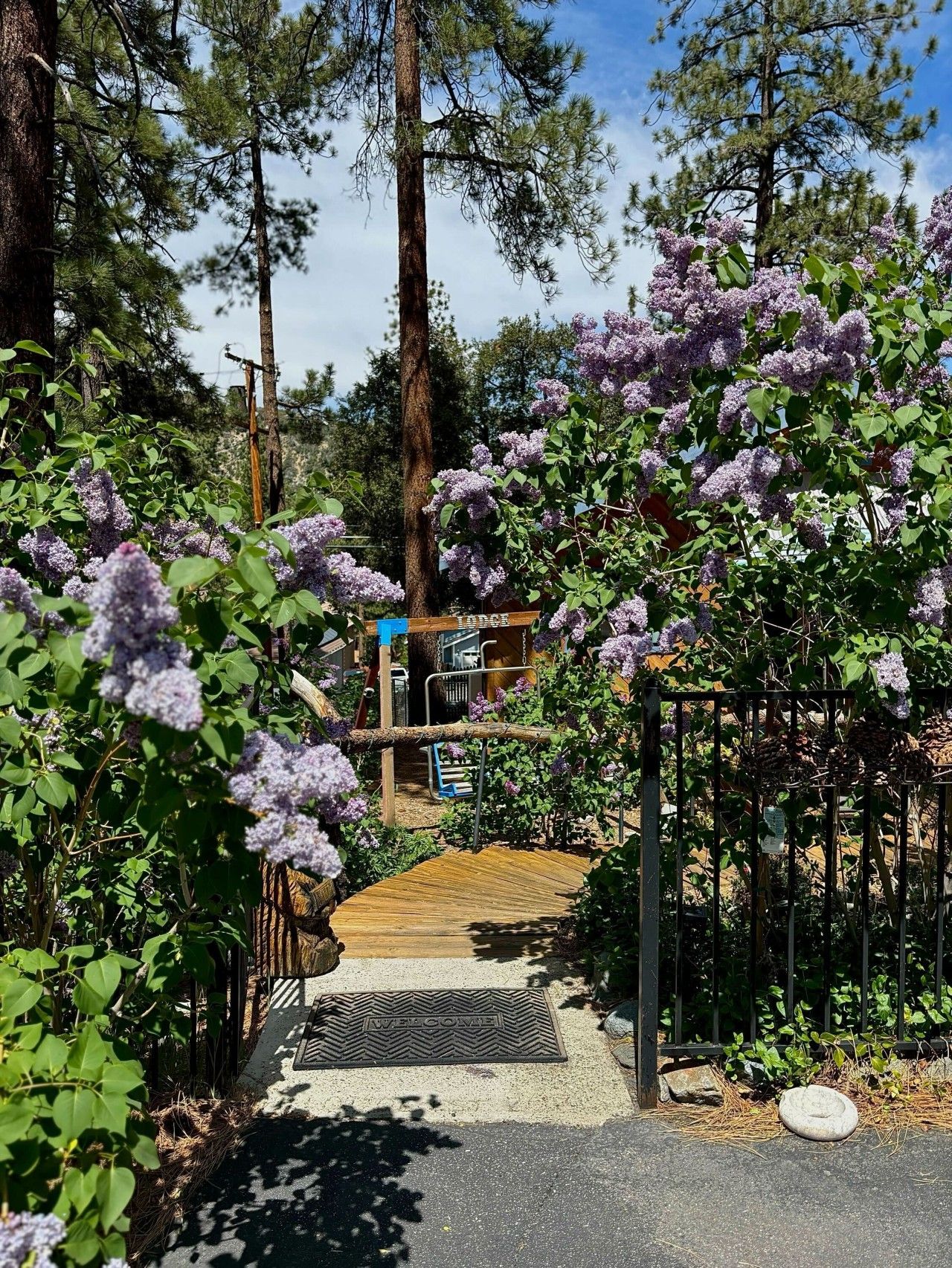 A pathway leading to a building with a sign reading 'Welcome.'