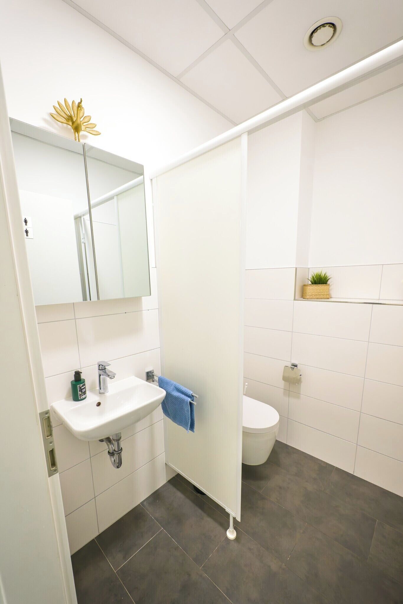 Een badkamer met een witte wastafel, een spiegel, een toilet en een douchehoek.