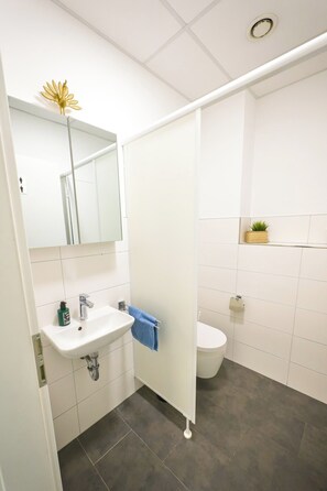 Une salle de bain avec un lavabo blanc, un miroir, des toilettes et un espace douche.