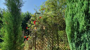 Een tuin met diverse bomen en een spijlenconstructie bekleed met klimplanten met rode bloemen.