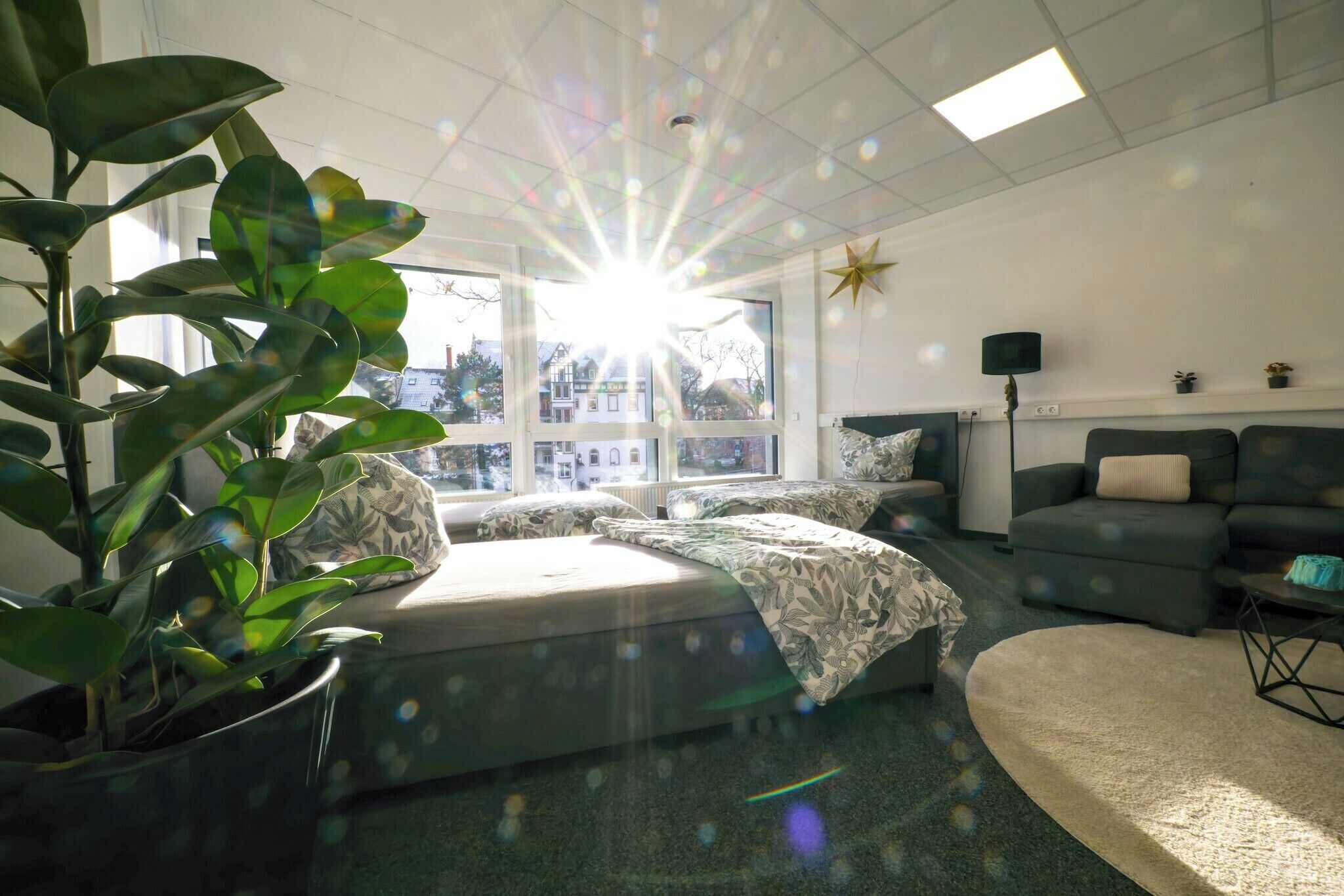A room with a bed, a sofa, a potted plant, and a view of buildings through large windows.