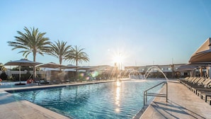 Ein Poolbereich mit sonnigem Wasser, Palmen und Liegestühlen.