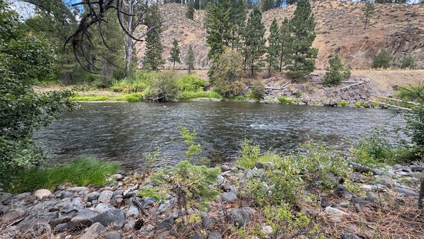 Miscellaneous - The Morel by the River (Naches)
