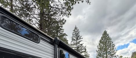 Una autocaravana negra con una rampa y un felpudo en un área boscosa.