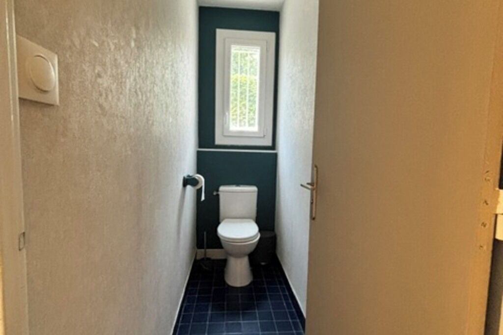 Shower, towels, toilet paper