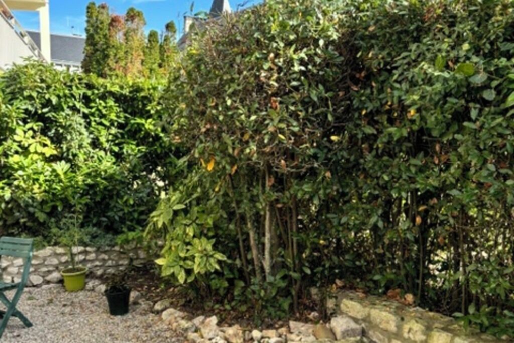 Un jardín con un muro de piedra, plantas en macetas y una silla verde.