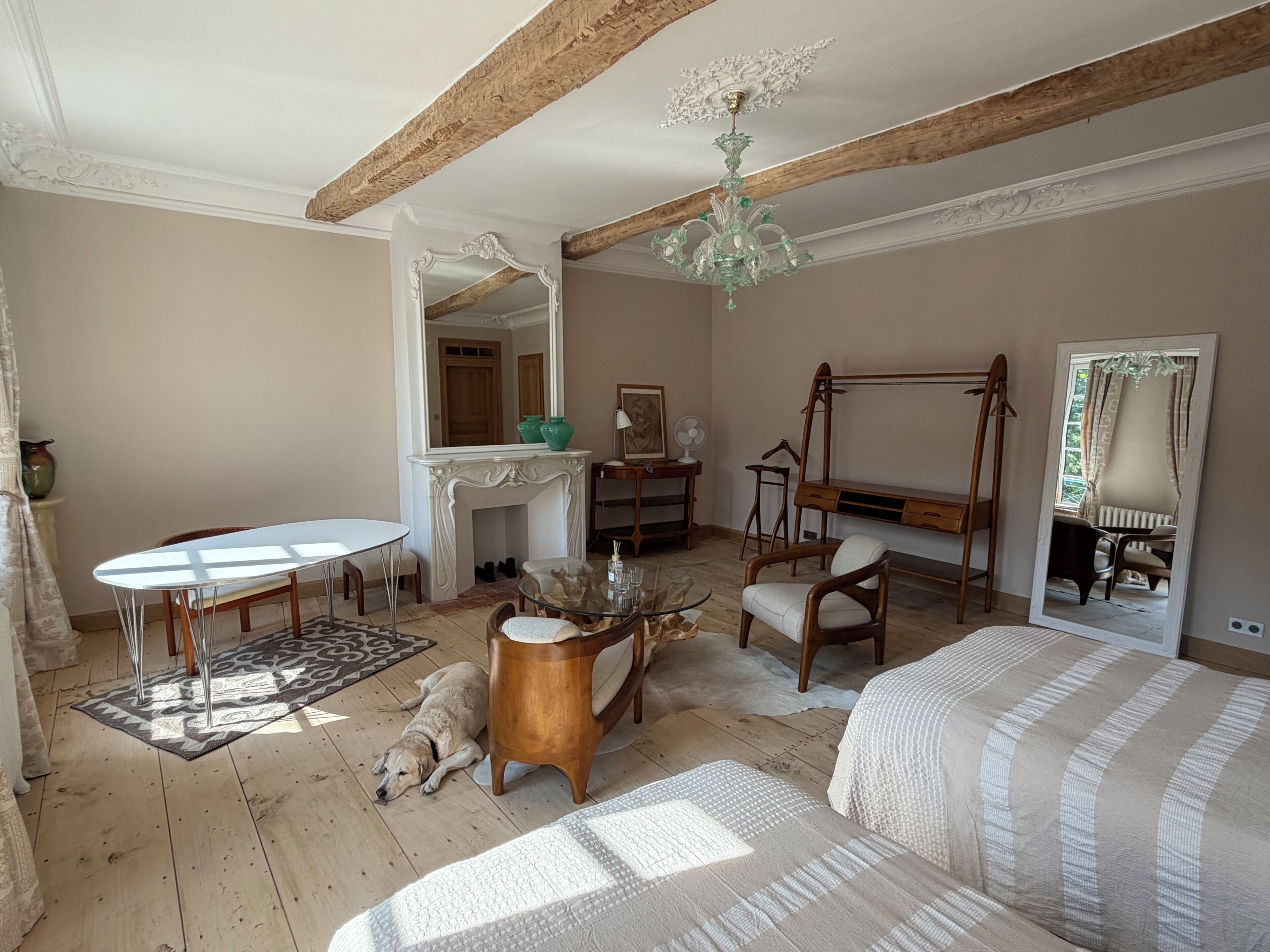 A room with a fireplace, a mirror, a bed, a table, and a dog.