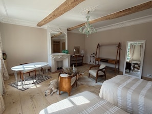 A room with a fireplace, a mirror, a bed, a table, and a dog.