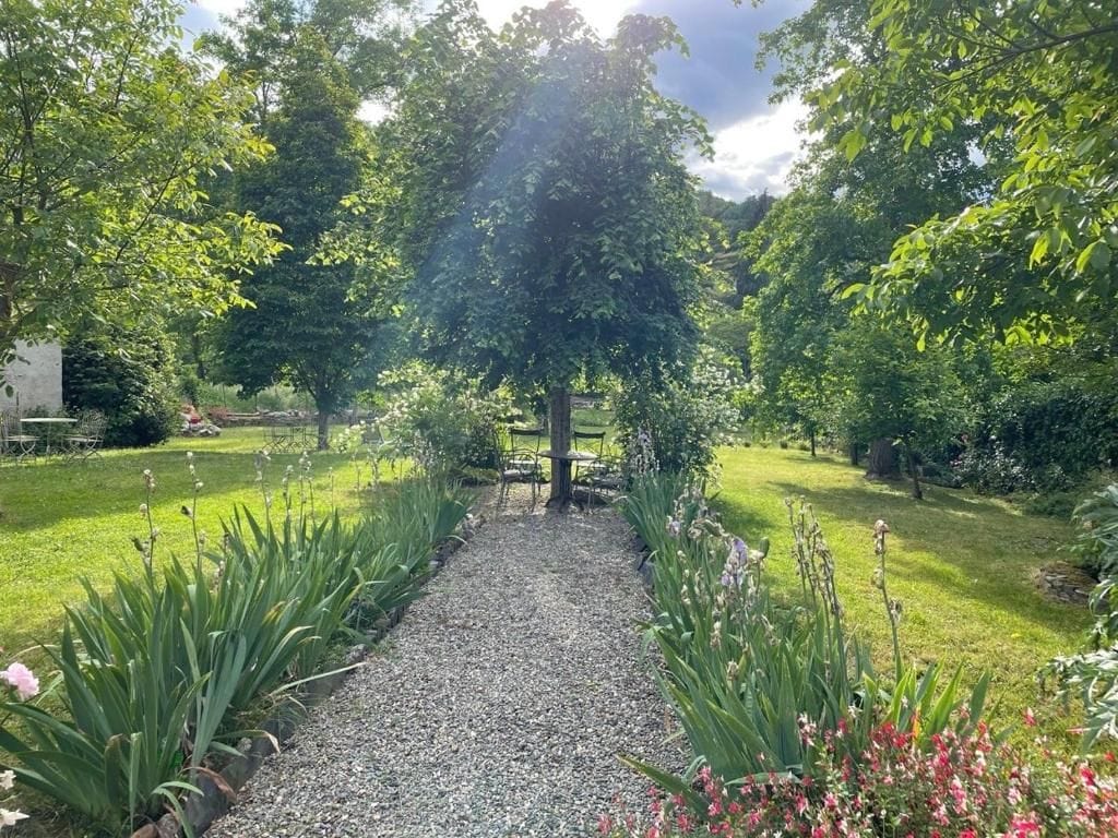 A garden pathway with a gravel surface, surrounded by various plants and trees.