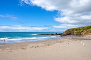 A beach with a clear sky, a rocky coastline, and a dog walking on the sand. - Sandy Toes New 2026 Stylish 2Bed Steps from Beach (Challaborough)