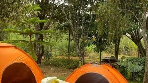 屋外ダイニングエリア