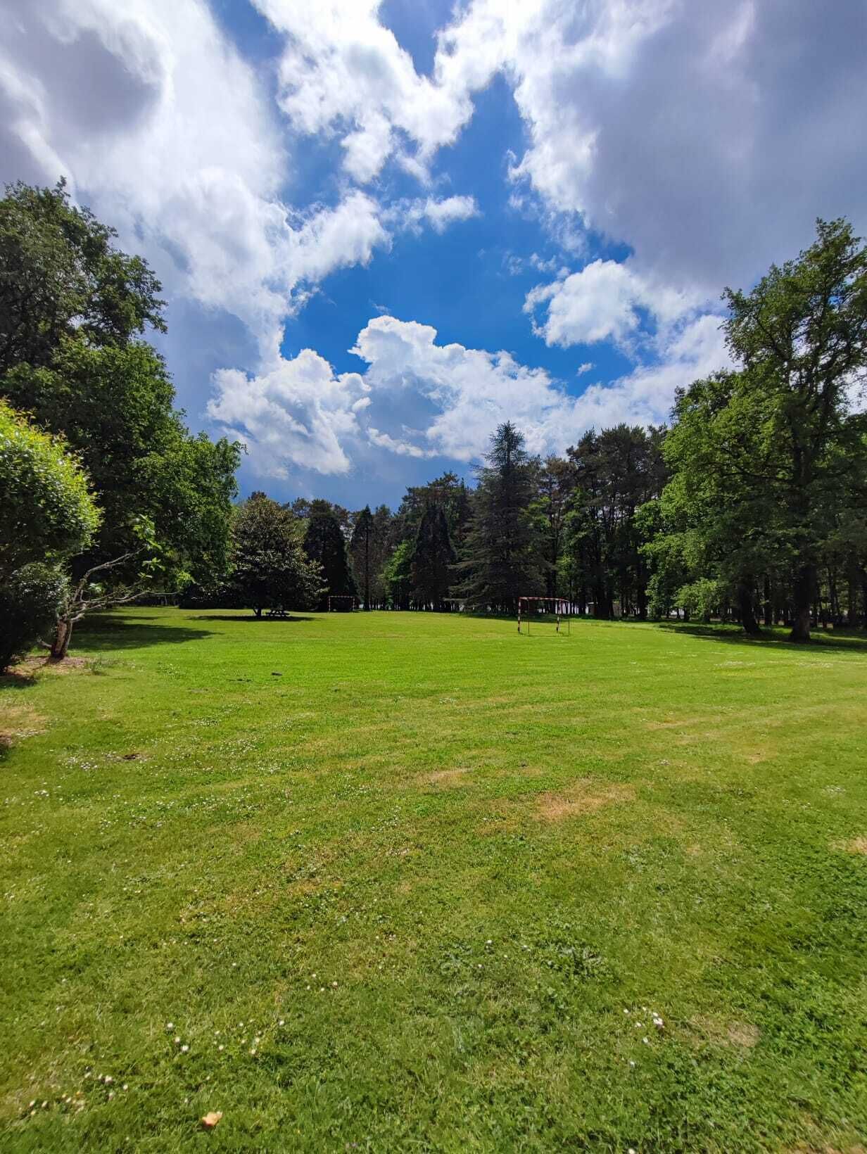 Un campo cubierto de hierba con árboles y cielo despejado.