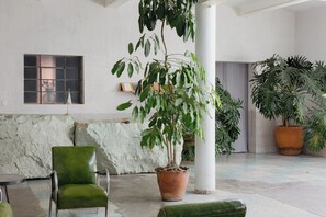 A spacious indoor area with a green chair, a potted plant, and a window with a metal screen. - A unique spot in Oaxaca's Historic District. Parks, restaurants, and museums within walking distance. (Oaxaca de Juárez)