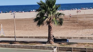 Una playa con una palmera, una red de voleibol y un parque infantil.