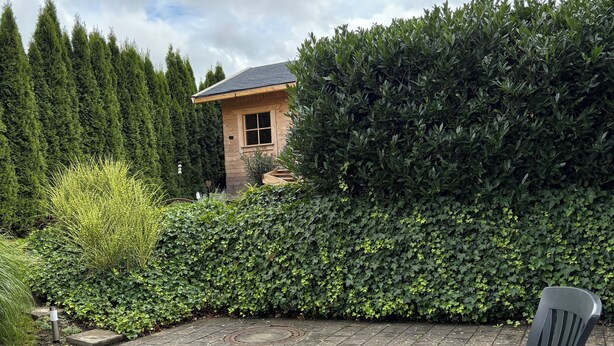 Un'area patio con tavolo e sedie, circondata da un siepe e una fila di alberi.