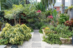 A garden pathway surrounded by various tropical plants and trees. - Modern hidden retreat with chef’s kitchen, spa bath, pergola, bar & solar-power. (Boquerón)