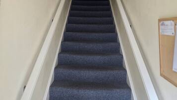 Un escalier recouvert de moquette, avec des rampes blanches, un mur de couleur claire et un luminaire fixé au plafond.