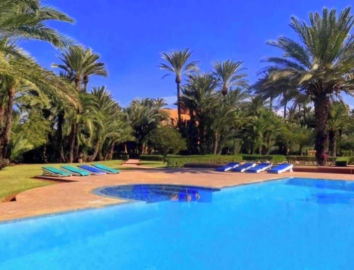 Ein Pool mit Liegestühlen, umgeben von Palmen.