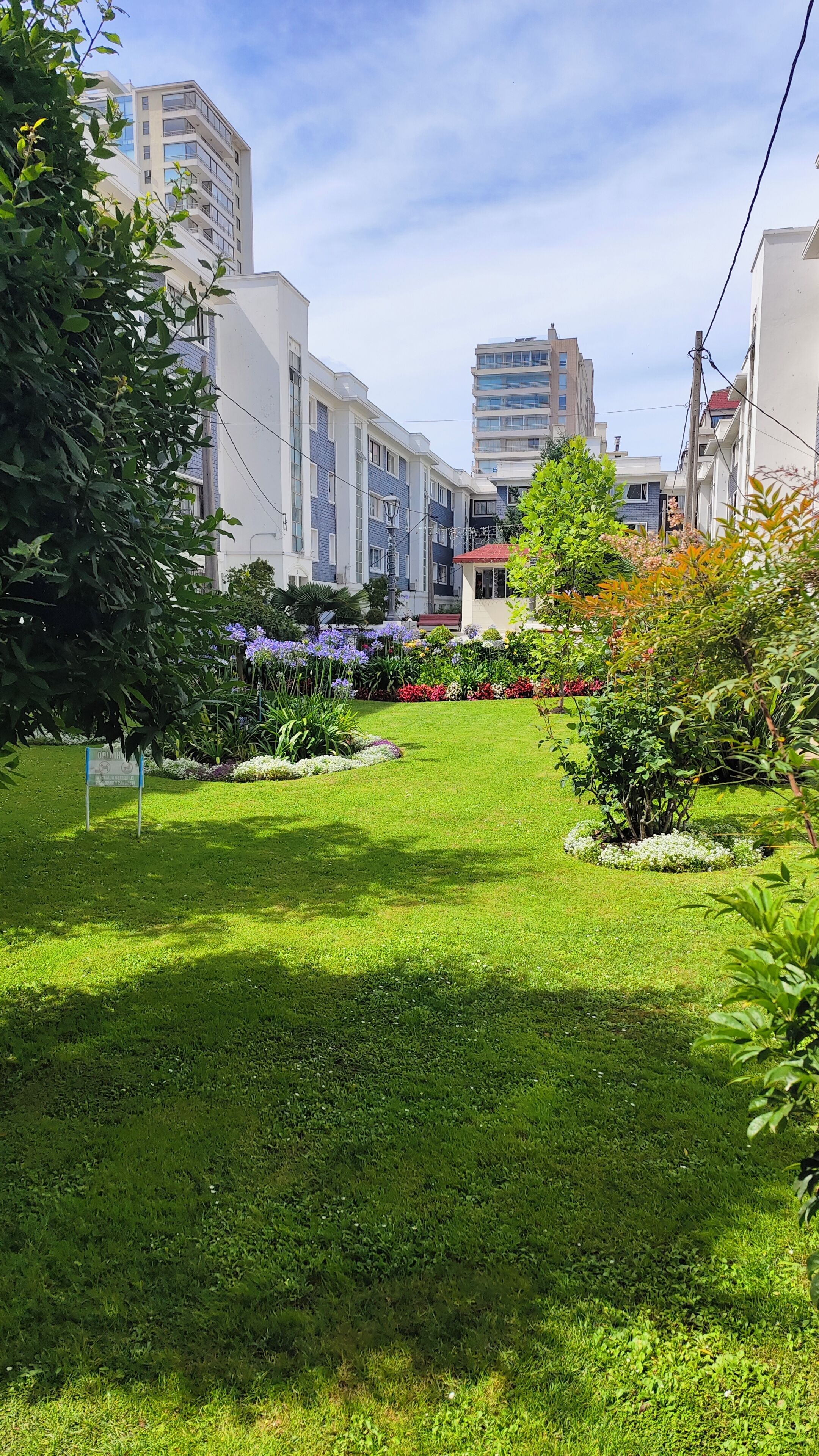 Une zone verdoyante bien entretenue, agrémentée de diverses plantes et fleurs, et entourée de bâtiments.