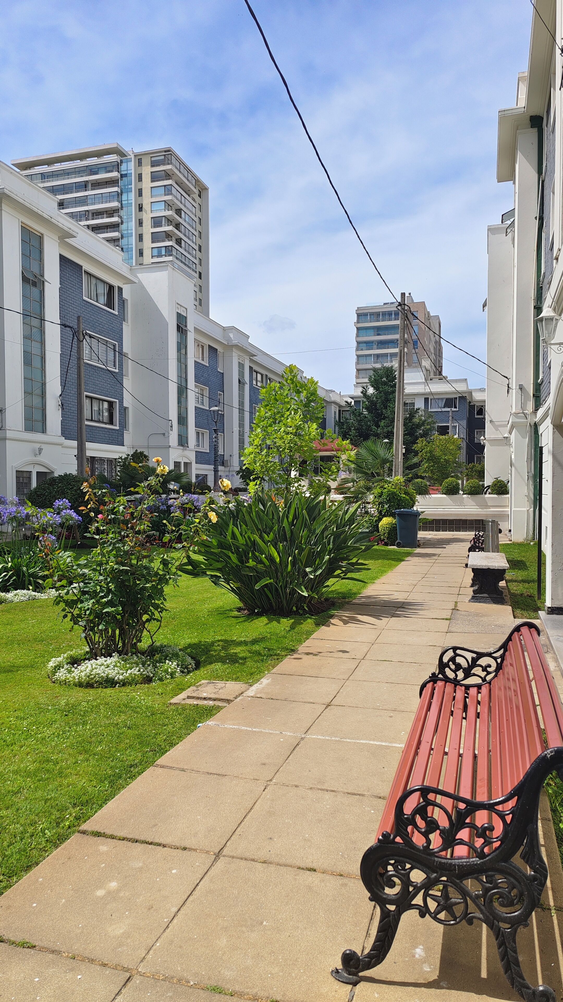 Um caminho bordeado por bancos, um pequeno jardim com diversas plantas, e edifícios modernos ao fundo.
