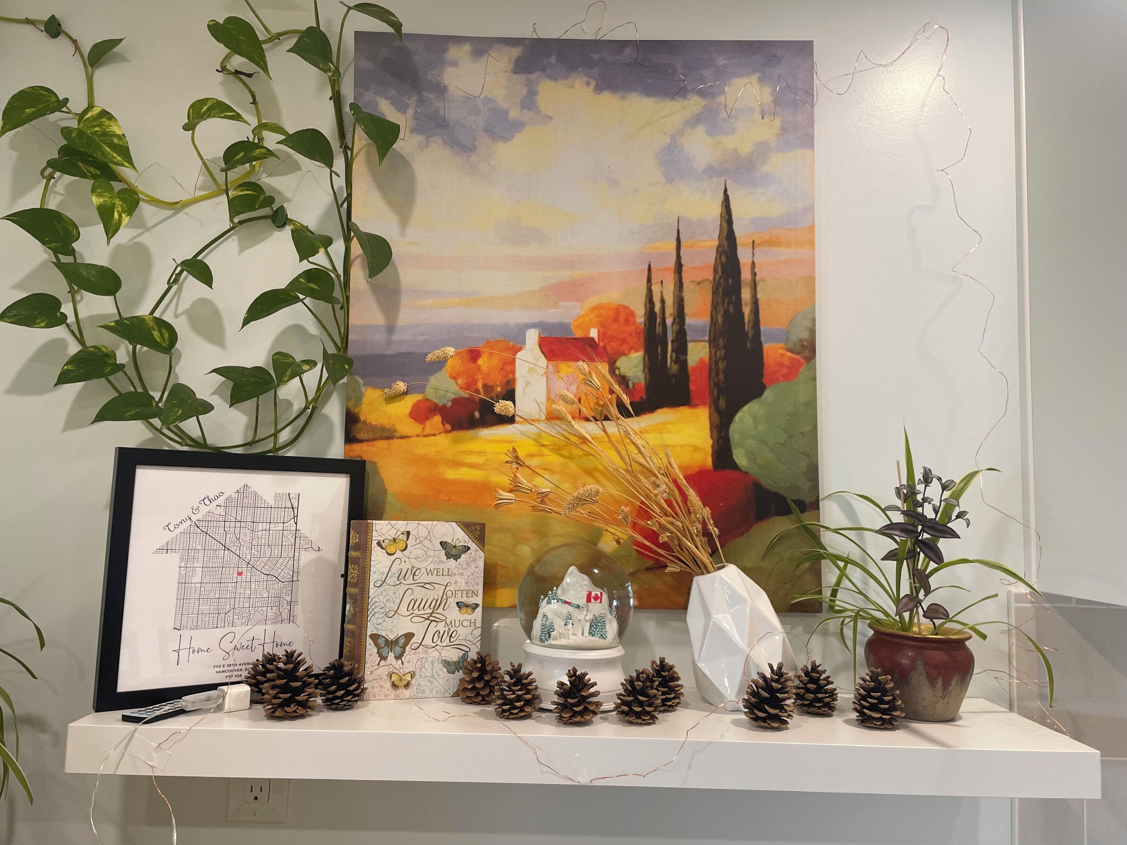 A wall with a framed map, a framed inspirational quote, a decorative pine cone arrangement, and a potted plant.