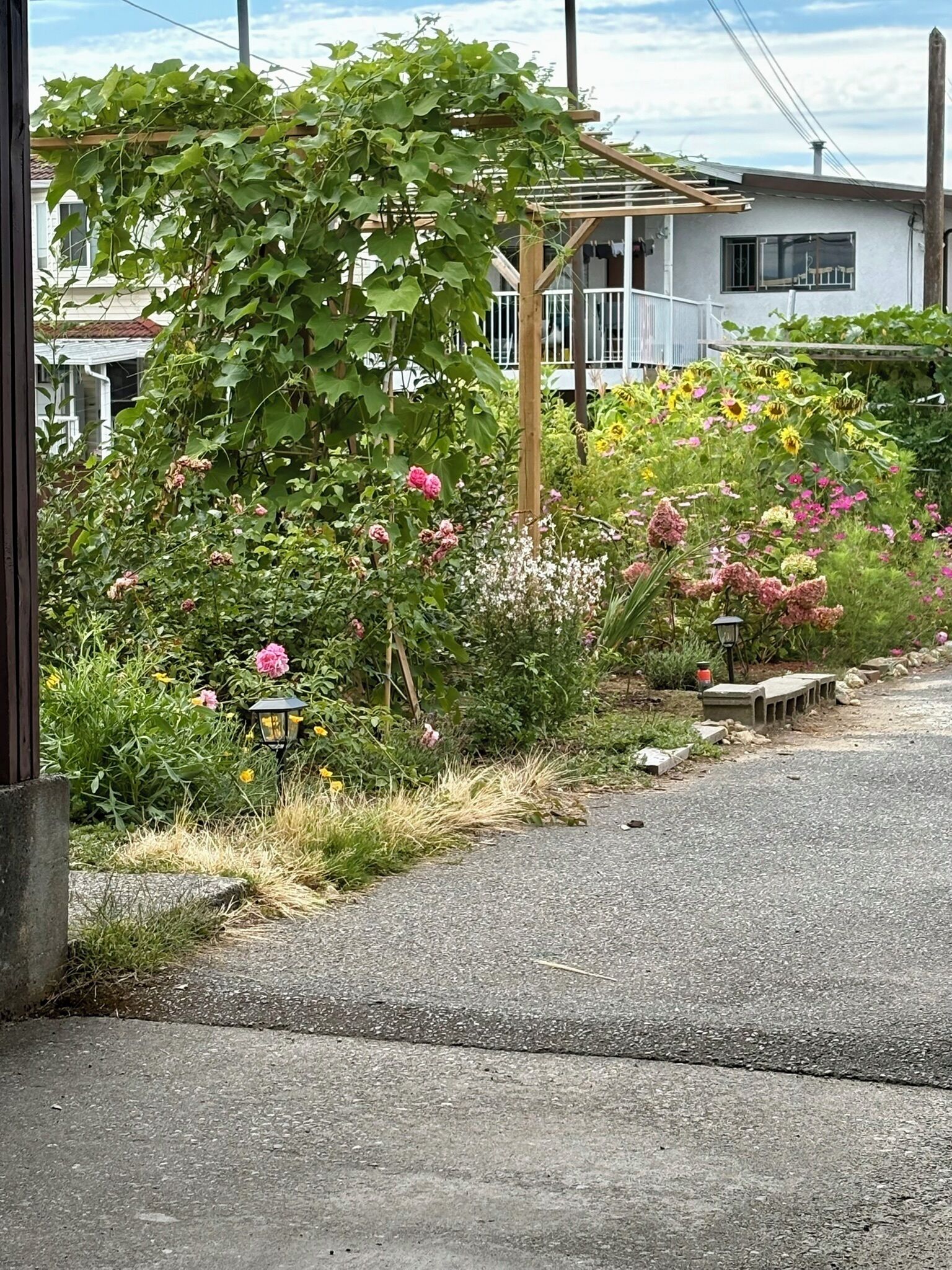 A garden with various plants and flowers, a wooden bench, and a lamp post.