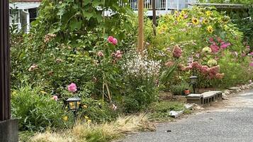 A garden with various plants and flowers, a wooden bench, and a lamp post.