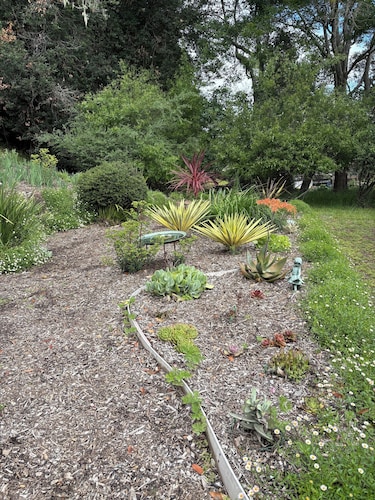 Two Room studio gem in Point Reyes National Seashore. Stunning views, beaches.