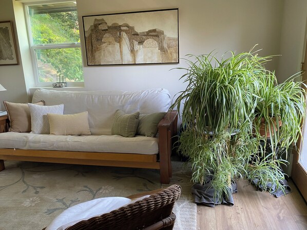 A living room with a sofa, a large potted plant, a framed artwork, and a window with a view of greenery.