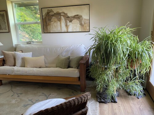 Two Room studio gem in Point Reyes National Seashore. Stunning views, beaches.
