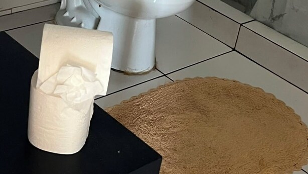 Ein Badezimmer mit Toilette, einer Taschentuchbox auf einem schwarzen Tisch und einem beigefarbenen Teppich auf dem Boden.