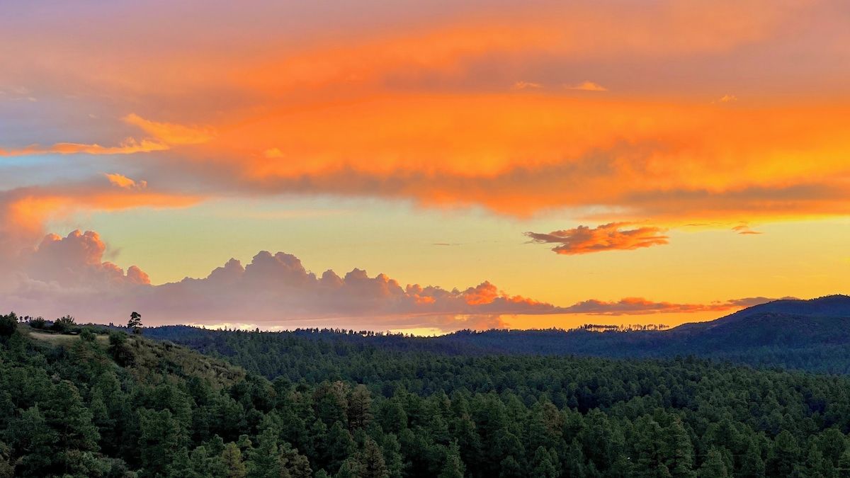 A forested landscape with a clear sky.