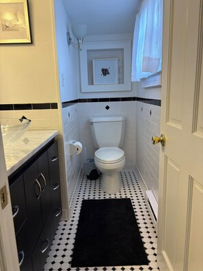A bathroom with a toilet, a sink, and a black rug on the floor.