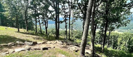 A natural landscape with a rocky ground, trees, and a view of a body of water.