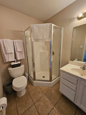 Ein Badezimmer mit einer Duschkabine, Toilette und einem Waschtisch.
