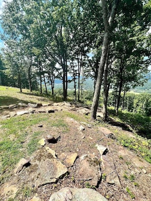 Eine natürliche Landschaft mit felsigem Untergrund, Bäumen und Blick auf ein Gewässer.