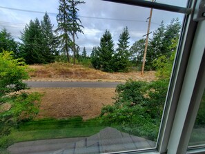 A view through a window of a road with trees and a grassy area.