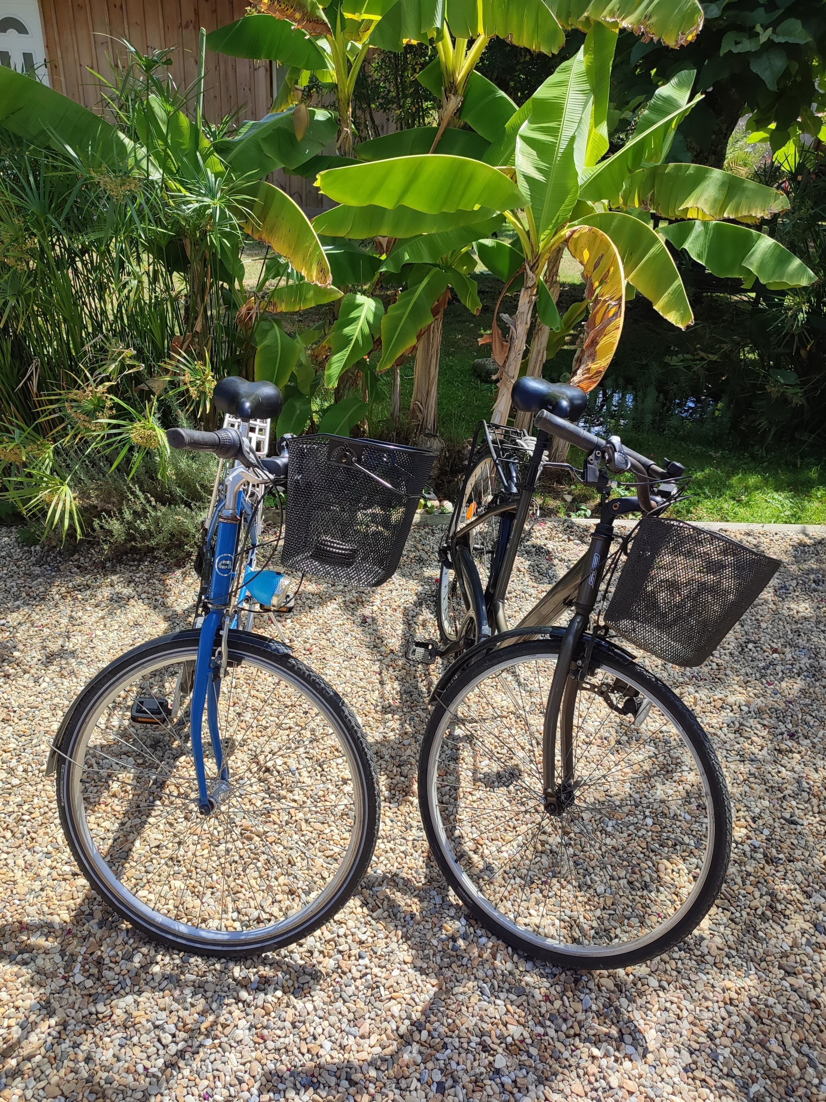Två cyklar står parkerade på en grusbelagd yta, med ett trästaket och frodig grönska i bakgrunden.