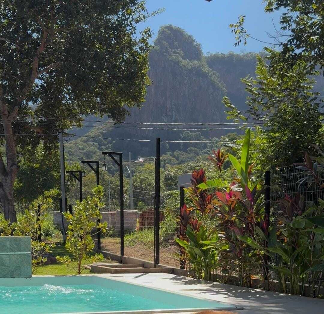 A swimming pool with a view of a forested hill, surrounded by greenery and a metal fence.