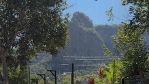 Una piscina con vistas a una colina arbolada, rodeada de vegetación y una cerca de metal.