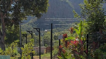 A swimming pool with a view of a forested hill, surrounded by greenery and a metal fence.